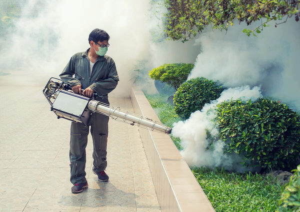 Best Mosquito Pest Control in Phoenix Operators for Mosquito Eradication