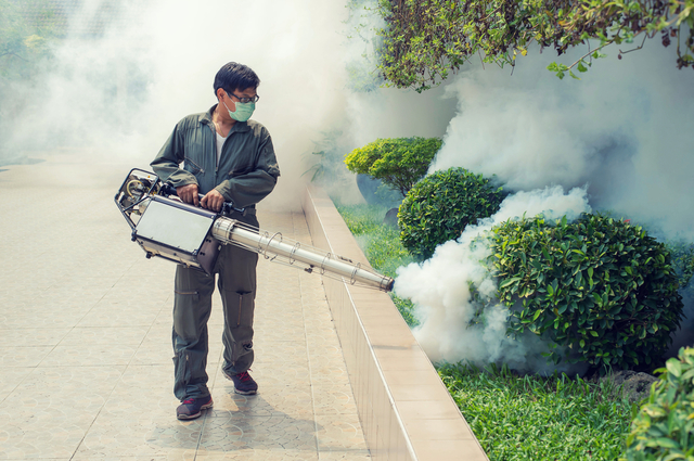 Best Mosquito Pest Control in Phoenix Operators for Mosquito Eradication