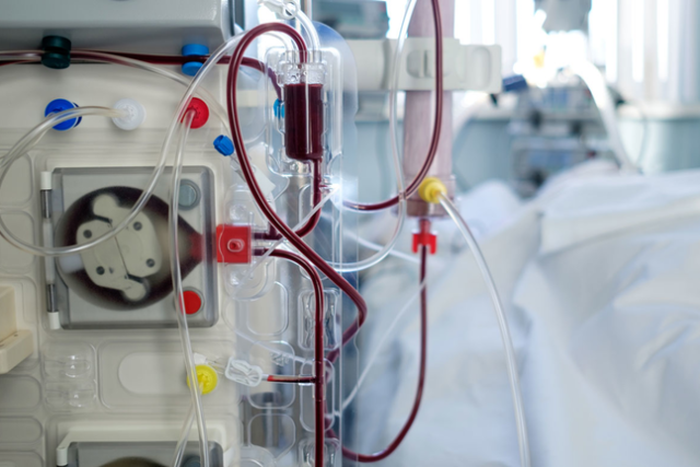 What Character Qualities are desired in Dialysis Technicians?