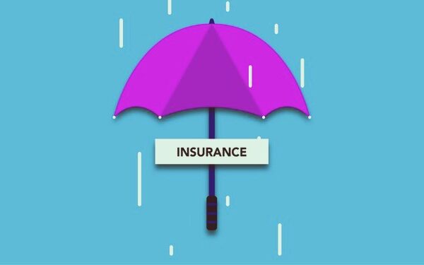 An Ultimate Guide To Term Insurance Plan