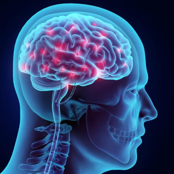 Preventing And Treating Neurological Damage In Seizure Disorders